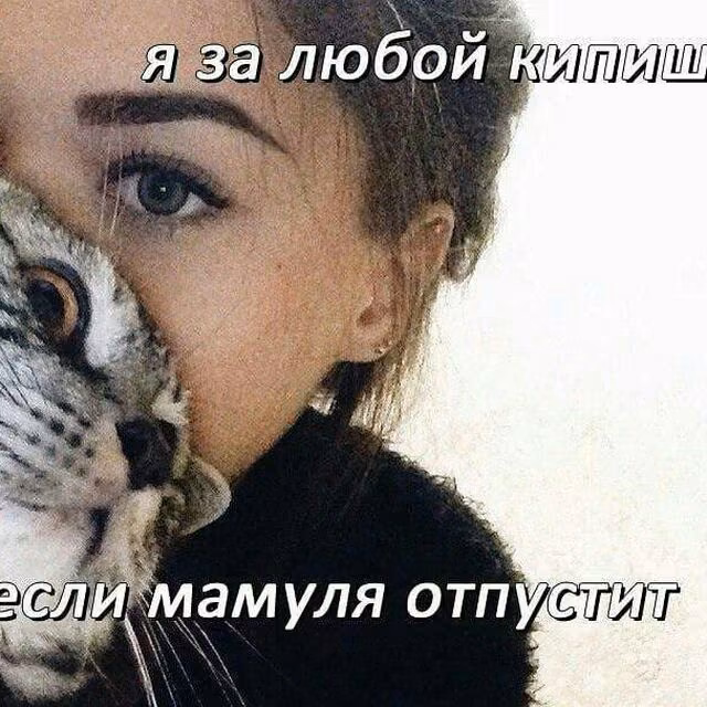 92f4586ce4fb9228ccdc0b523c63f469.jpg