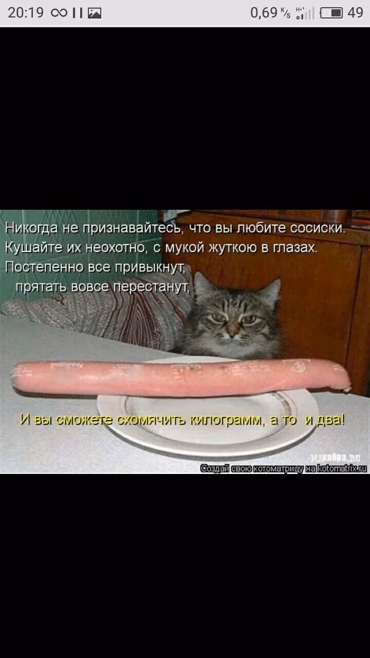 92f82bf3562fbdf3d01eea98374f19b2.avif
