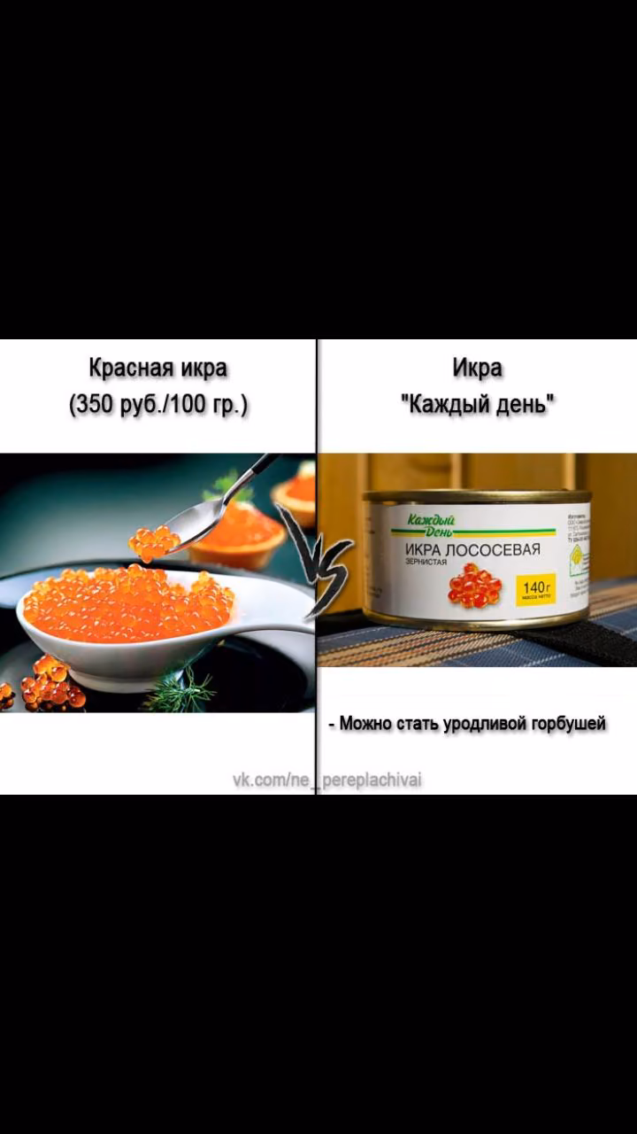 930464ce9420196c39274ccdb7582eff.jpg