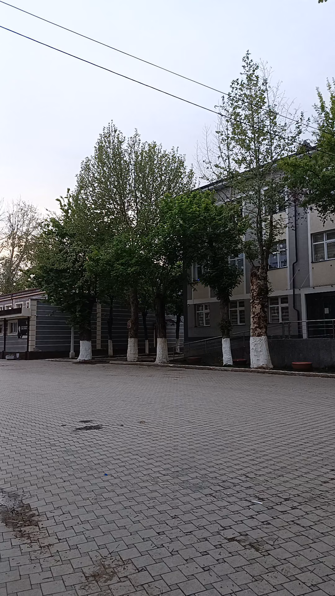 930b0436735e7328d9ad0f792eeabd80.avif