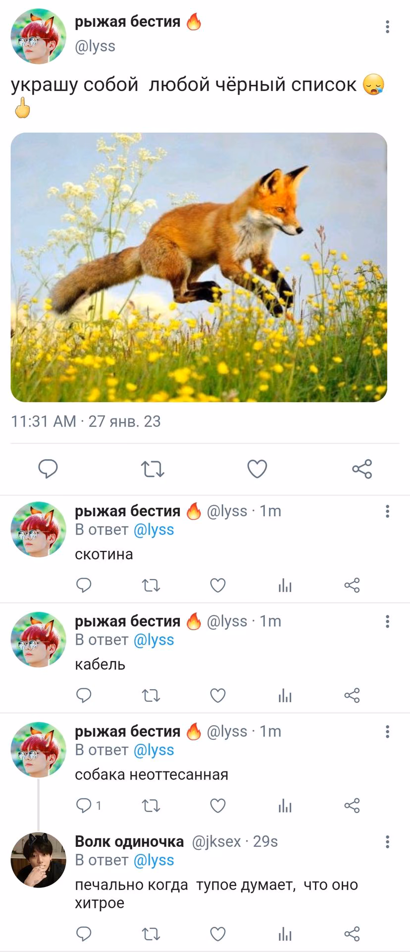 931160ee93eae591c58c4078428fce5b.avif