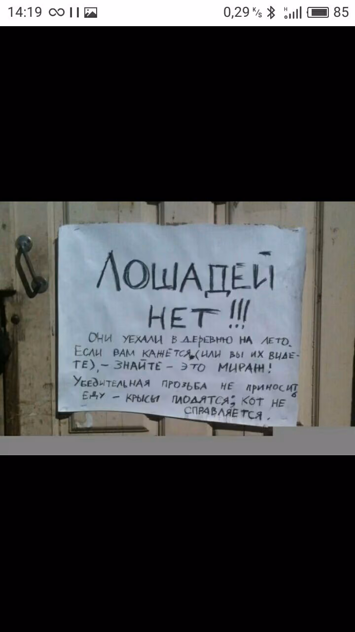 9318b0c9e377cb52f952e6bad1d723b5.avif