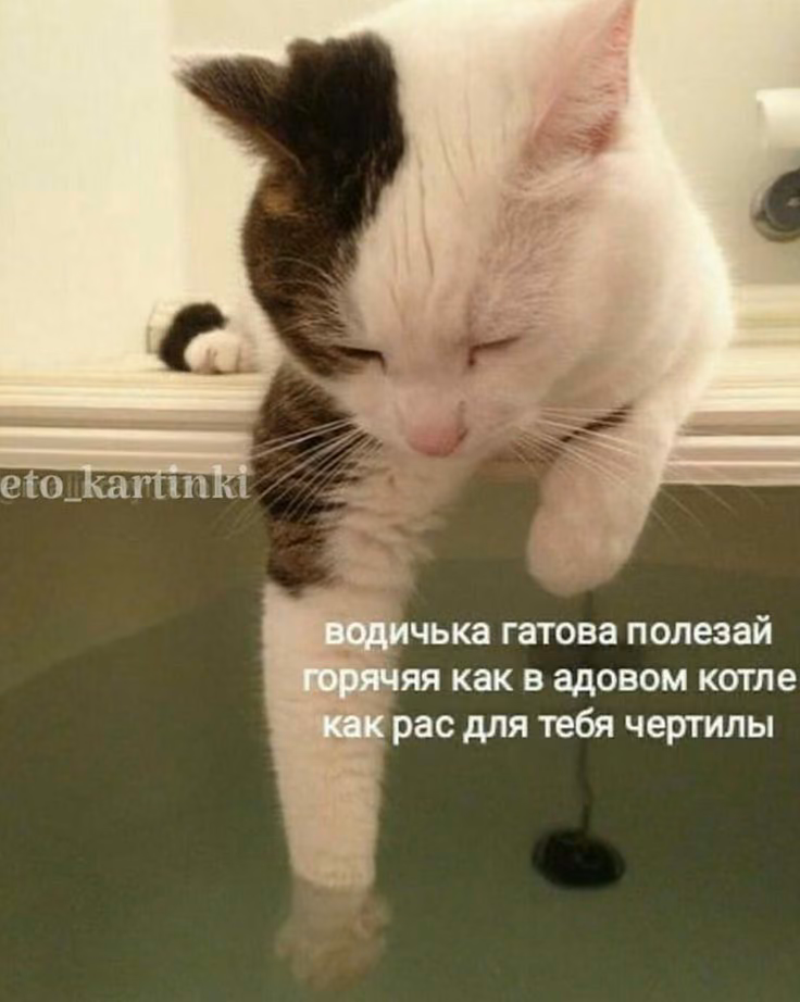 9321990e806e9737025c11dc46081ace.jpg
