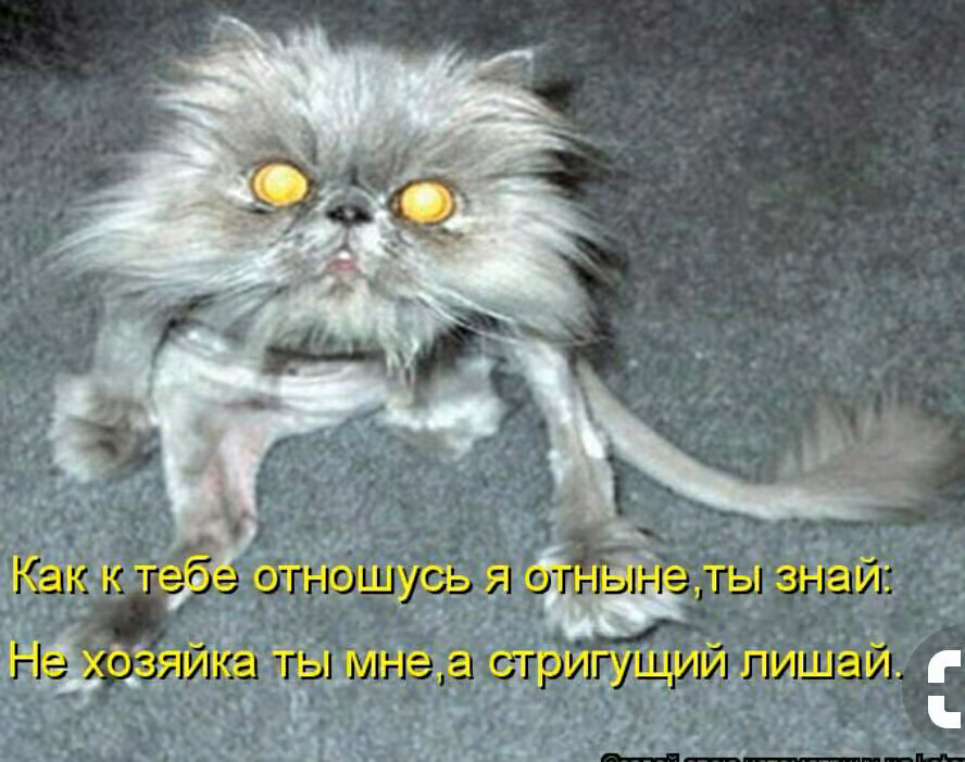 93303b1509b458e7436372eaad2de61b.jpg