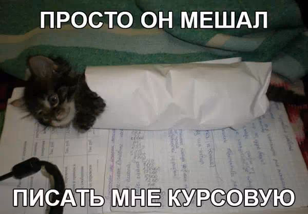 9337f4f69b3180dc3196de6d03c8d2d3.avif