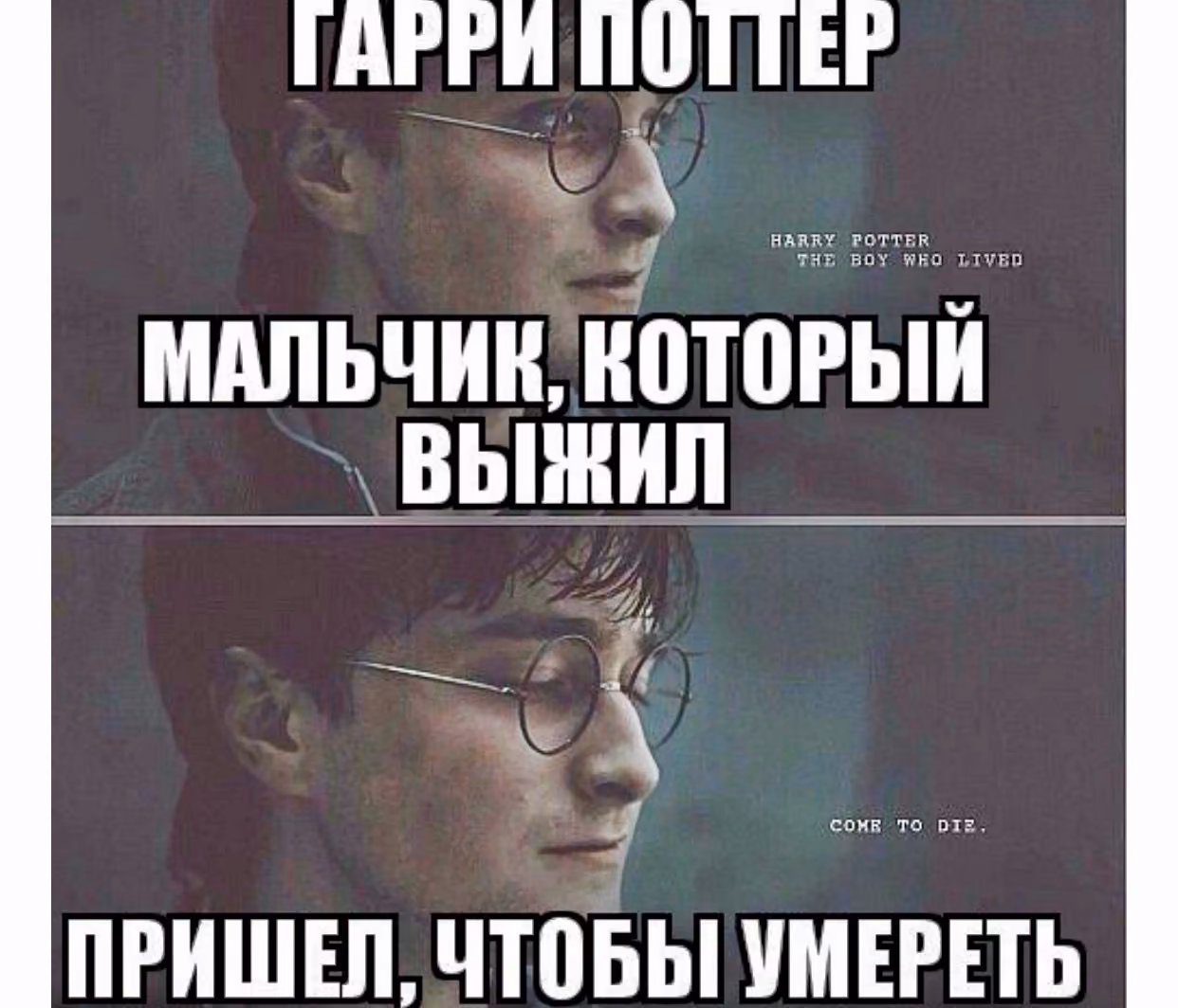 933dd5491b54228b0f023f2d398ff6fd.avif