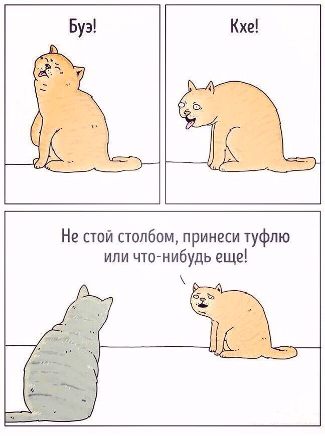 933f11a700e075e8bbabfb2788a29f88.jpg
