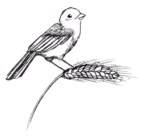 93594943c2571e8011f68fcfd0e2f375.avif