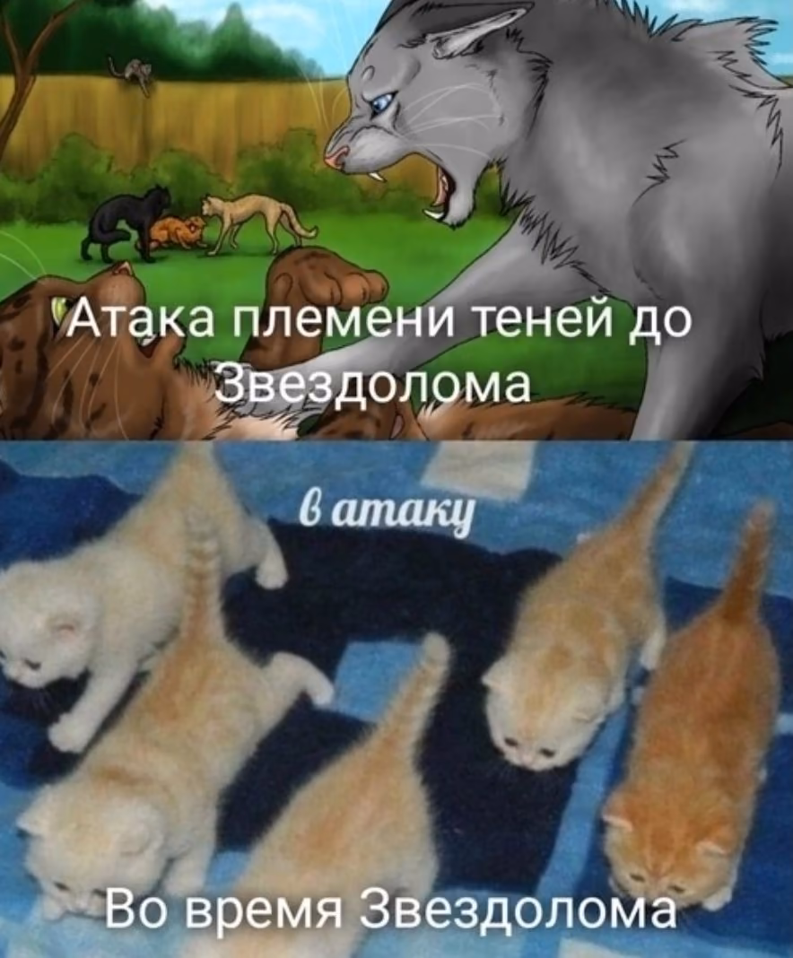 935f94dcea6d518b38a1e6cbf66334ce.avif