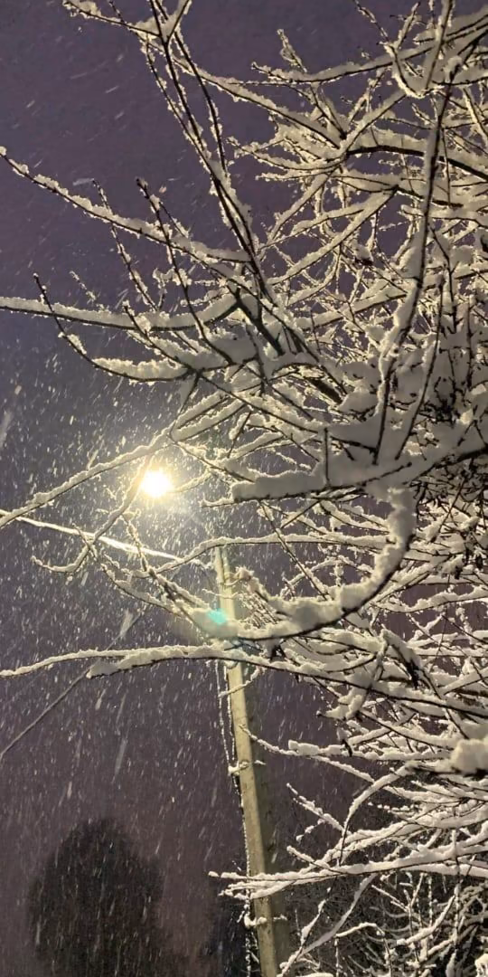 9360288c0255f5408d231c47eb7f3225.jpg