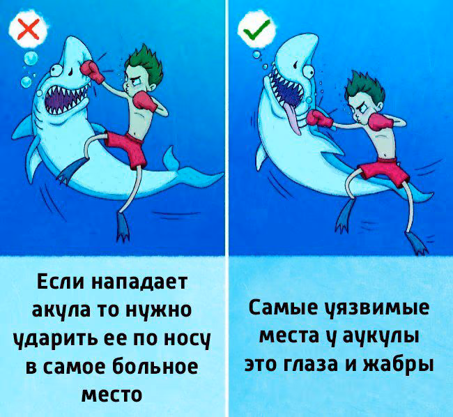 9366f758149b85ef8083fb954811e50d.jpg