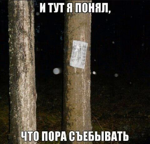 936e96e31ea986394781a7c1ae83aab8.jpg