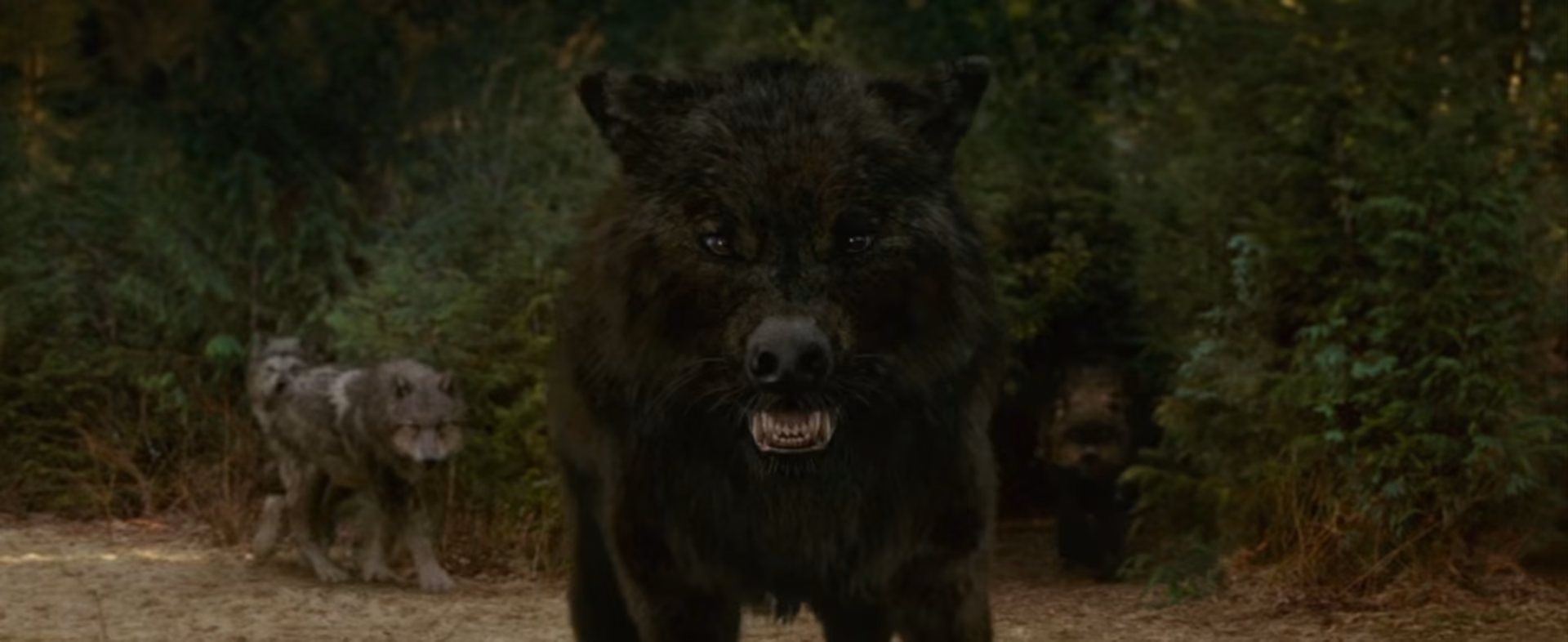 937c2d7603ec3cb7f1917fc9756d0ca6.avif