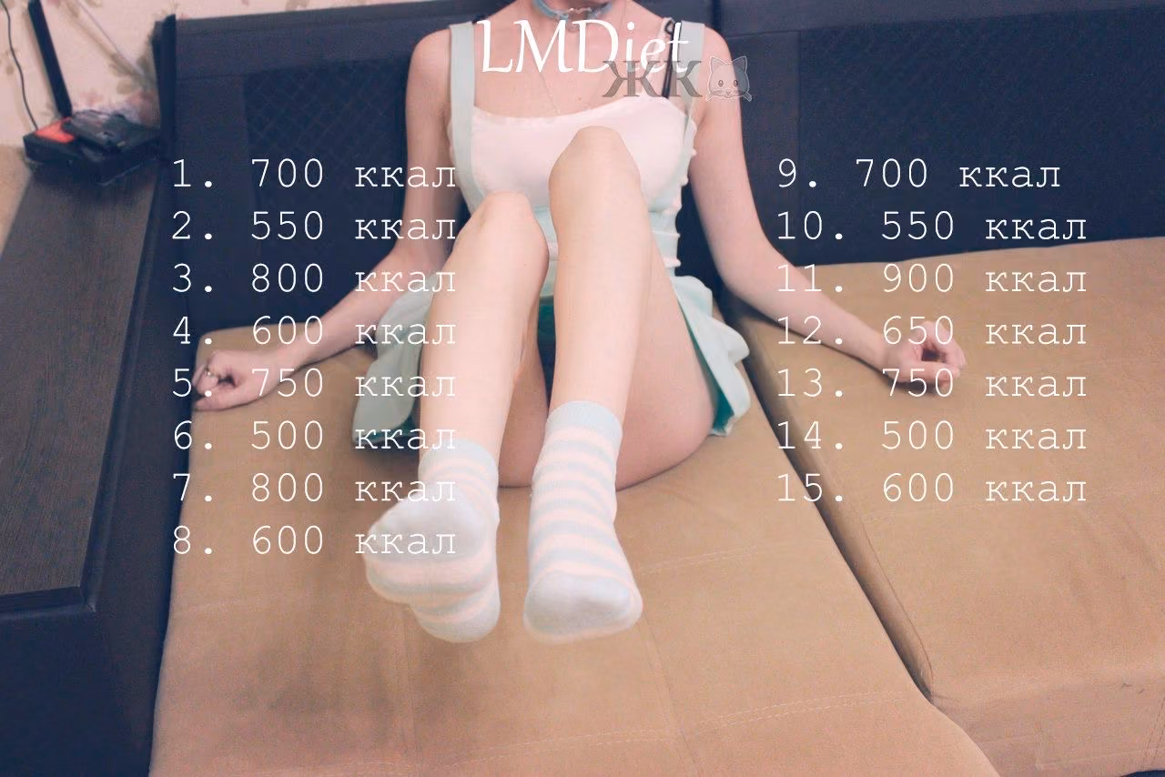 9381b5b11698592337e1167374254d4e.avif
