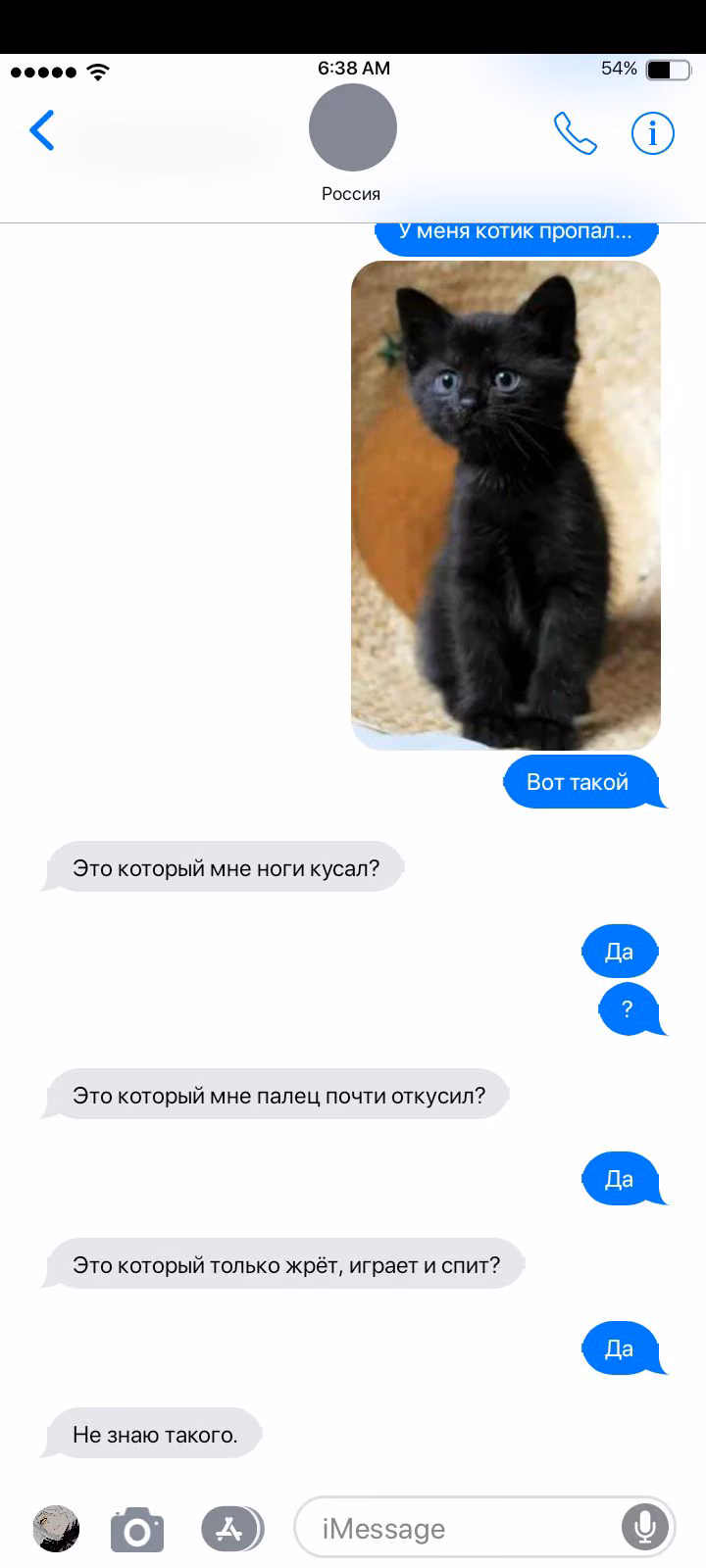 93914e61ea212a3c0115274c86df84ef.jpg