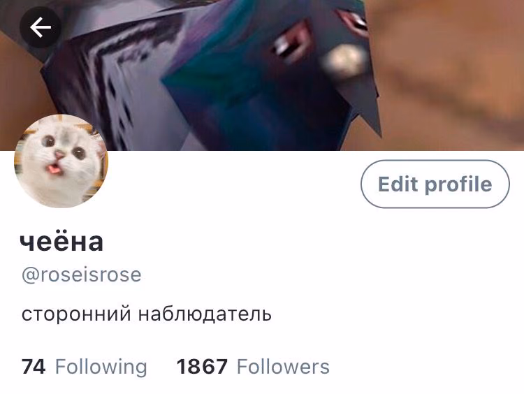 93a0c446dfdb65d72a5a4d565d8774c6.avif