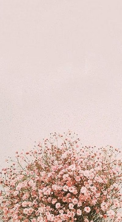 93b768979346f1e395c3b0bb3de8fd55.jpg