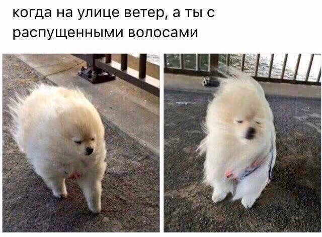 93c31cbaf72b5db9ebd85d15873bb2cc.jpg