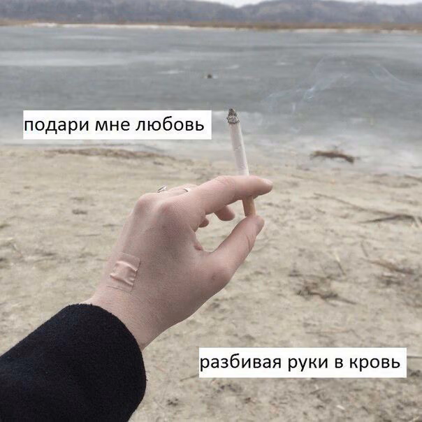 93c67b68ab9a2f56177f80e5f855e60a.avif