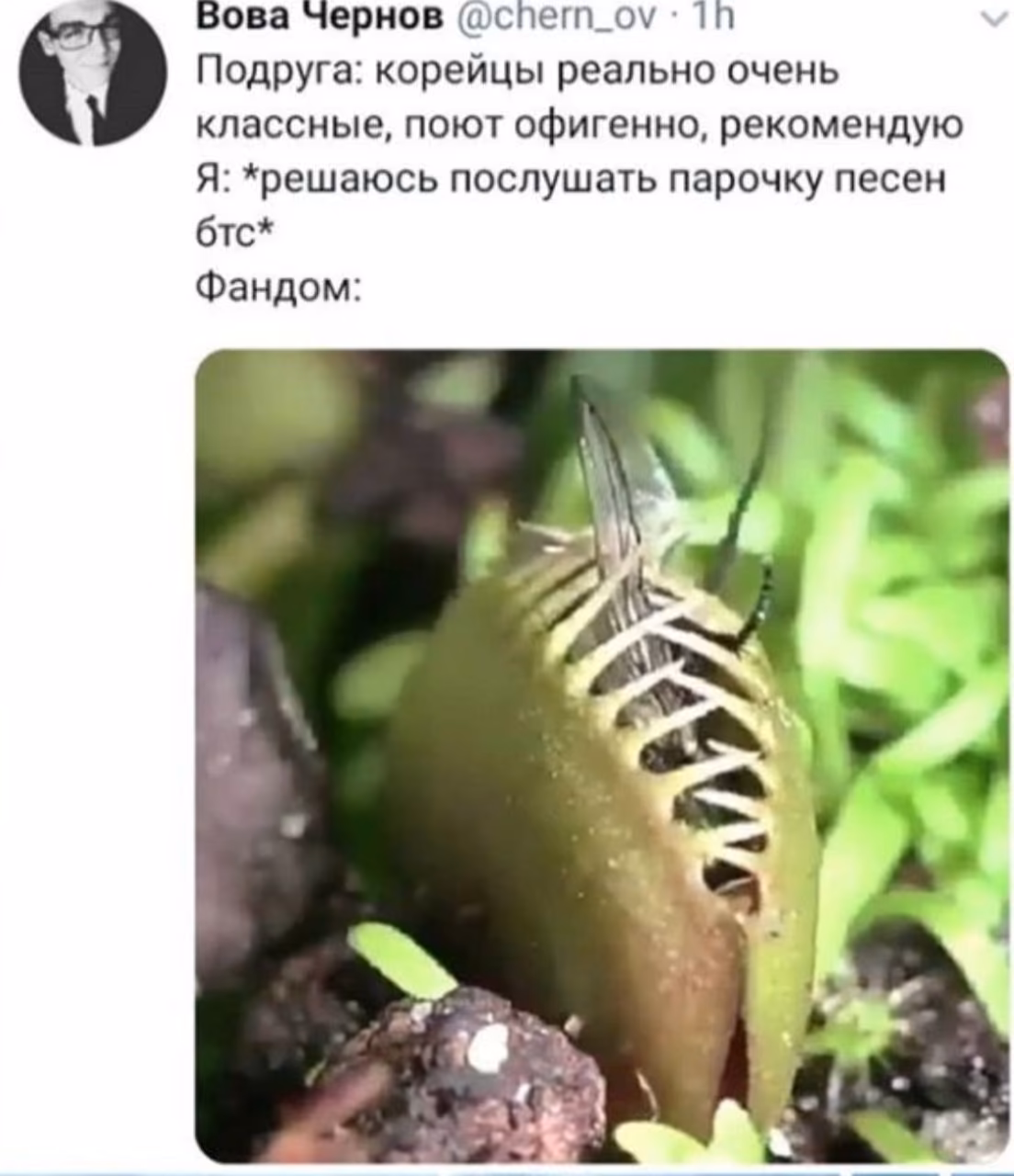 93cc1f6362b865966a18fded871877ca.avif
