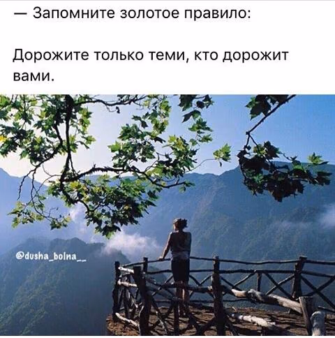 93dd1c3406fc84b4cd34ec0e1377ff6d.jpg
