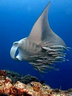 93e485d19224c505bc6185c6efc57a75.avif