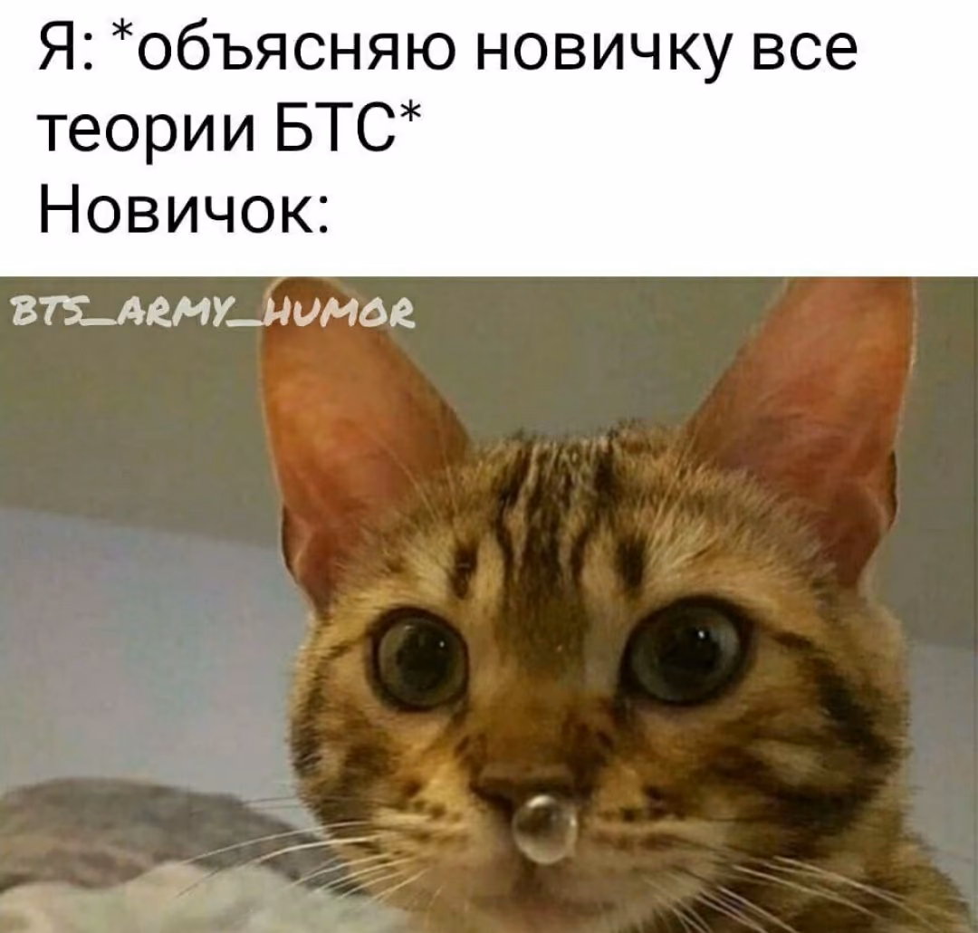93ecb29192b6c8d0f2db84ea273a13f1.jpg
