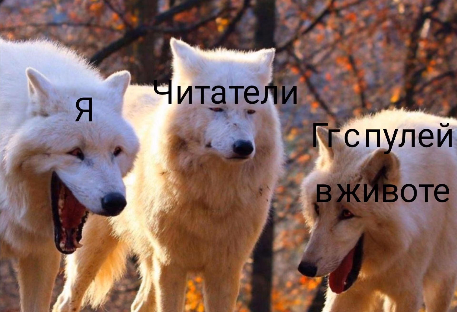 93f640b3d592fb153de76a2b53f5b3bf.avif