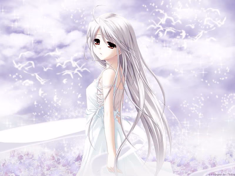 940a1e2dd8740dae1bf2281d4925a2bd.jpg