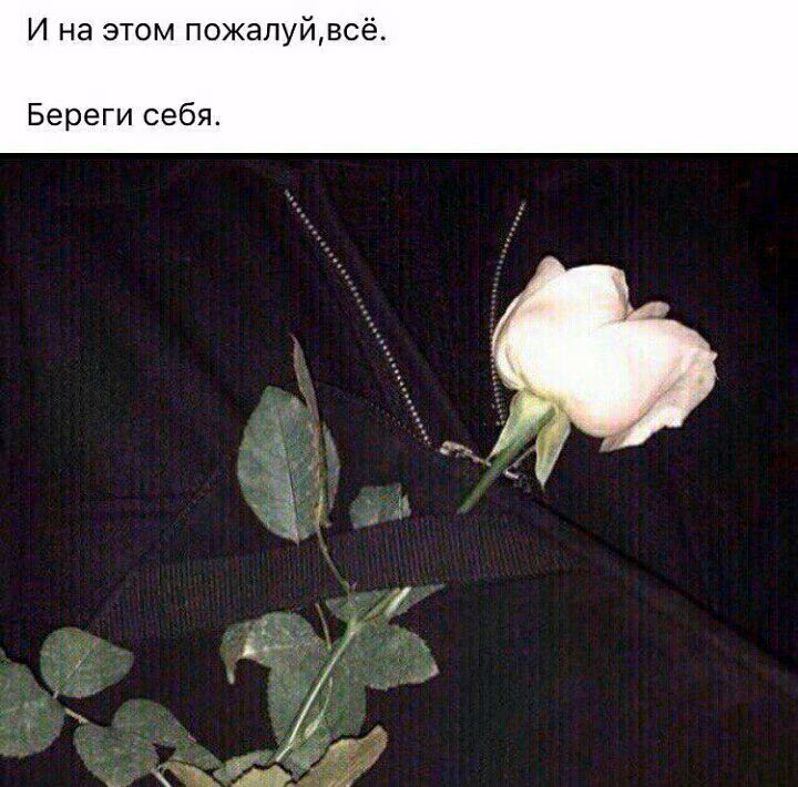 941b633f06a1c39c405e4beb1e850371.jpg