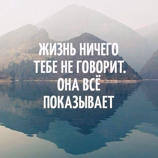 9427fd195d4007e4eda5cfa4354f8826.jpg