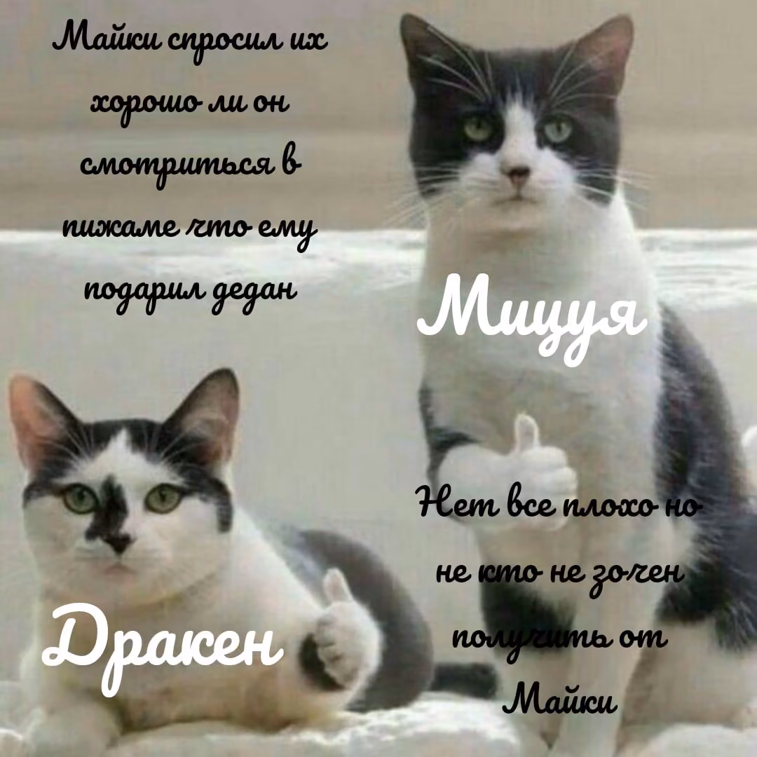 943522ad0f53bb31dc80b1d5fcb02167.avif