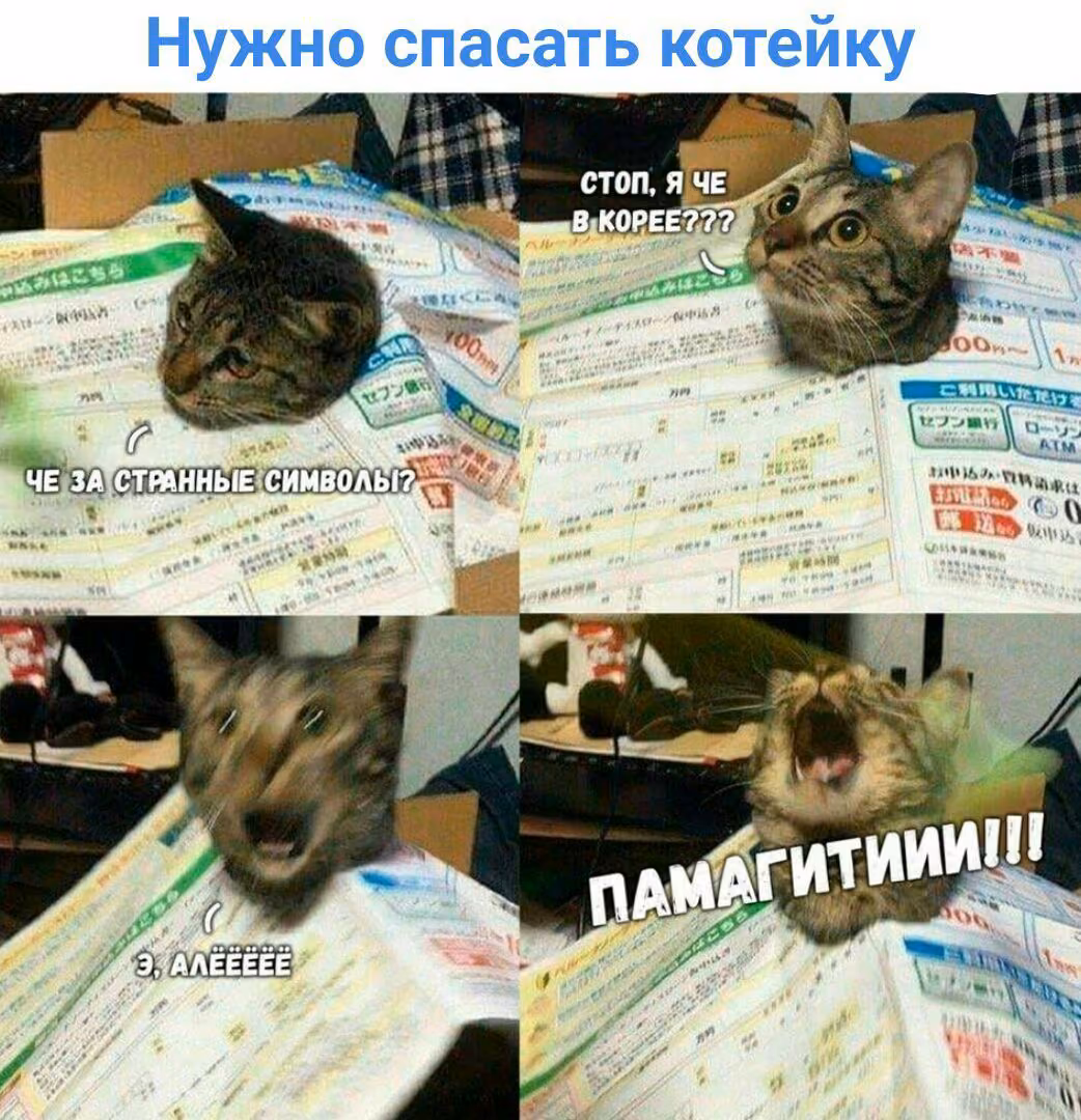 946ee0d3b3d650e98e221714278682fd.avif