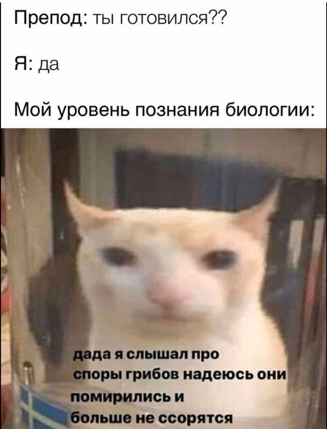 9472f3436ce45795b7e15bed01959e14.avif