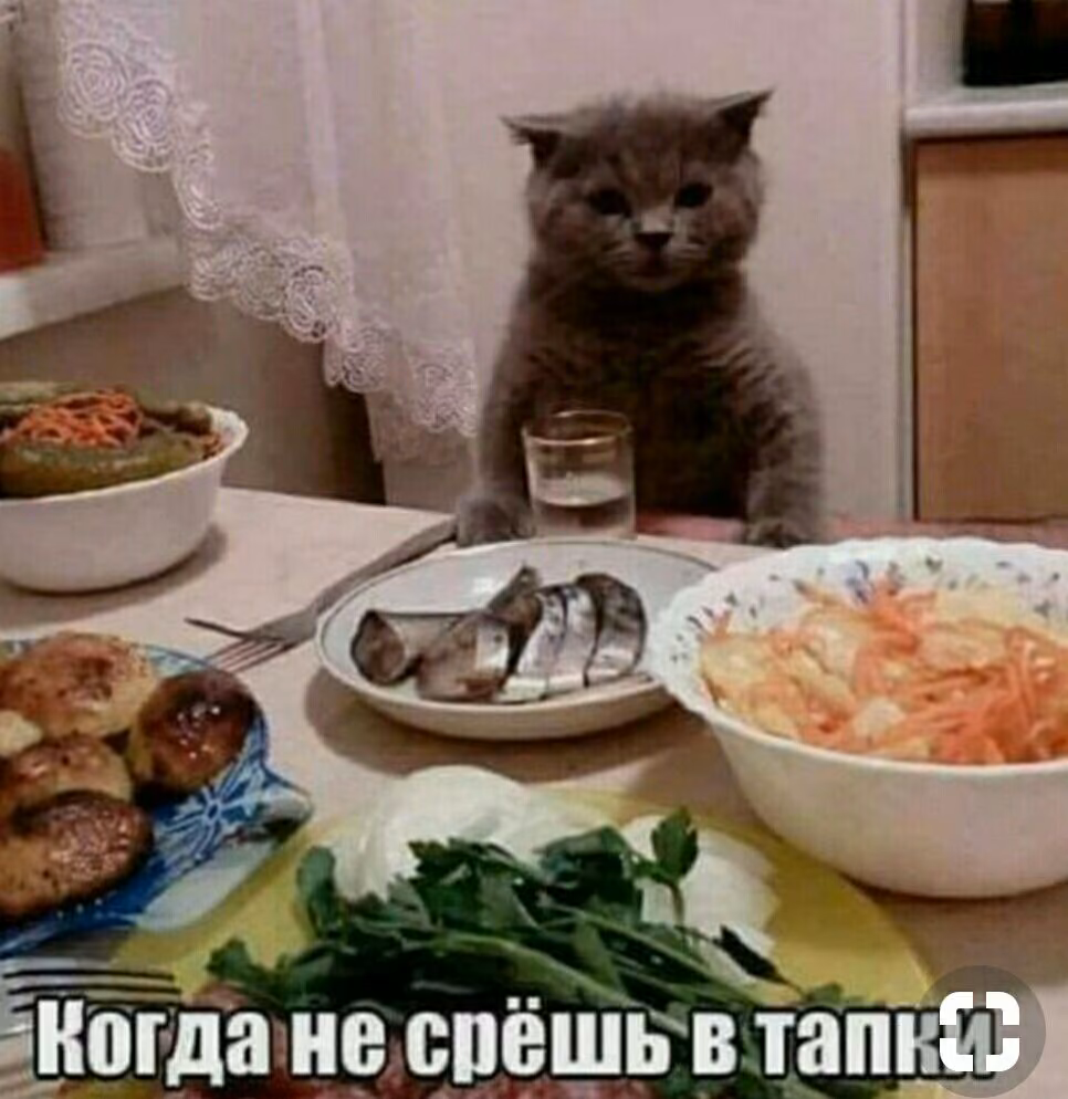 9492fb96a15a550fb5a5097b8ffe5dd1.jpg