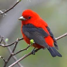 94b2701a936bcb08982e2fd67d82cc98.avif