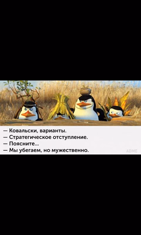94b274665283e9a653130cd9f98ecffd.avif
