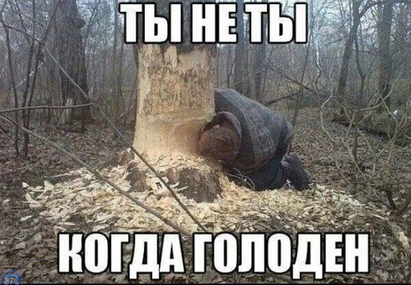 94c4224700b51887d61a3f5f79263f36.avif