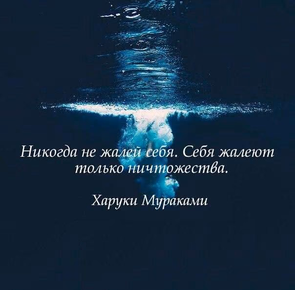 94c502b6c2f6913358c6a2211e6cdfae.jpg