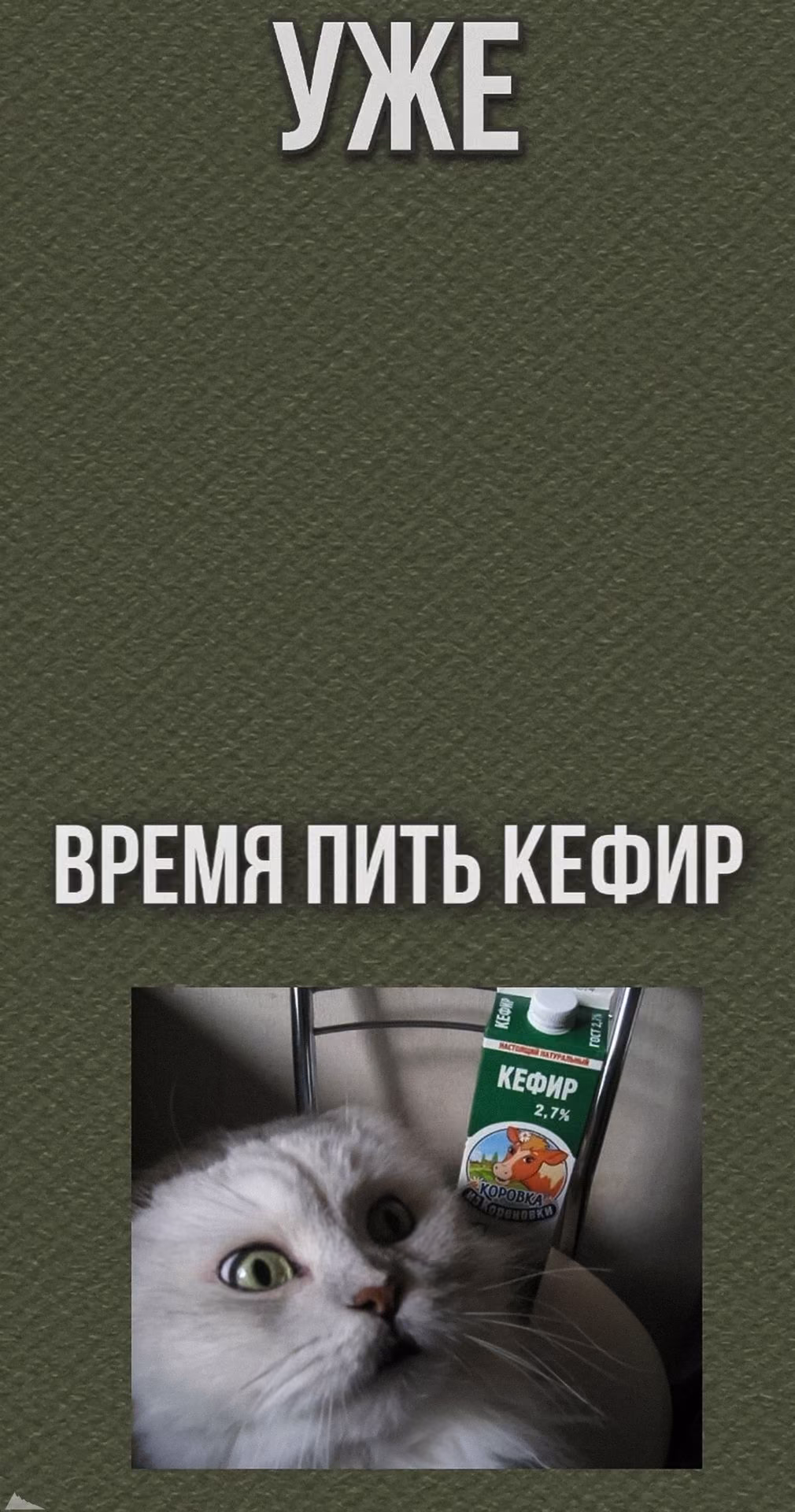 94e05993fa47b4a8ba30571333e005dd.jpg