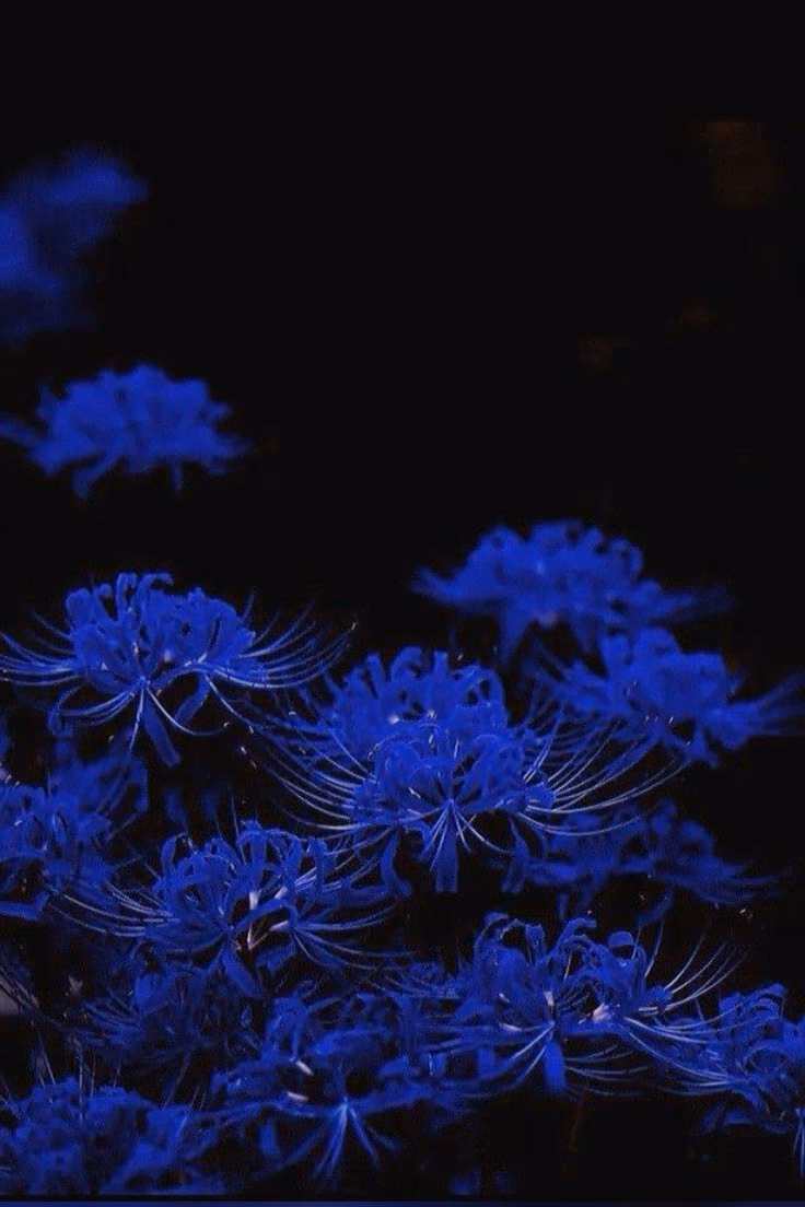 94f39a6bb0e9907664bda23d6a3ff460.jpg