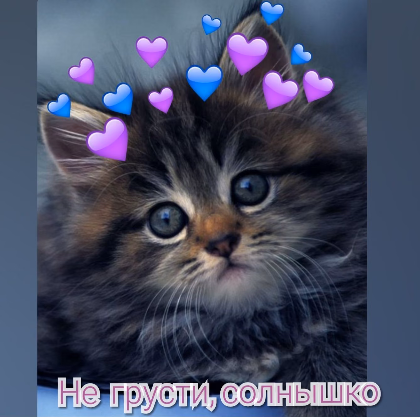 94ffdd33c3e6c79b369a7b7e588d9f25.jpg