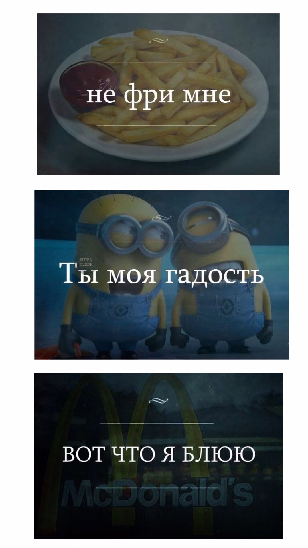 950370ecbf2105f41c97ce0d23ee3301.avif