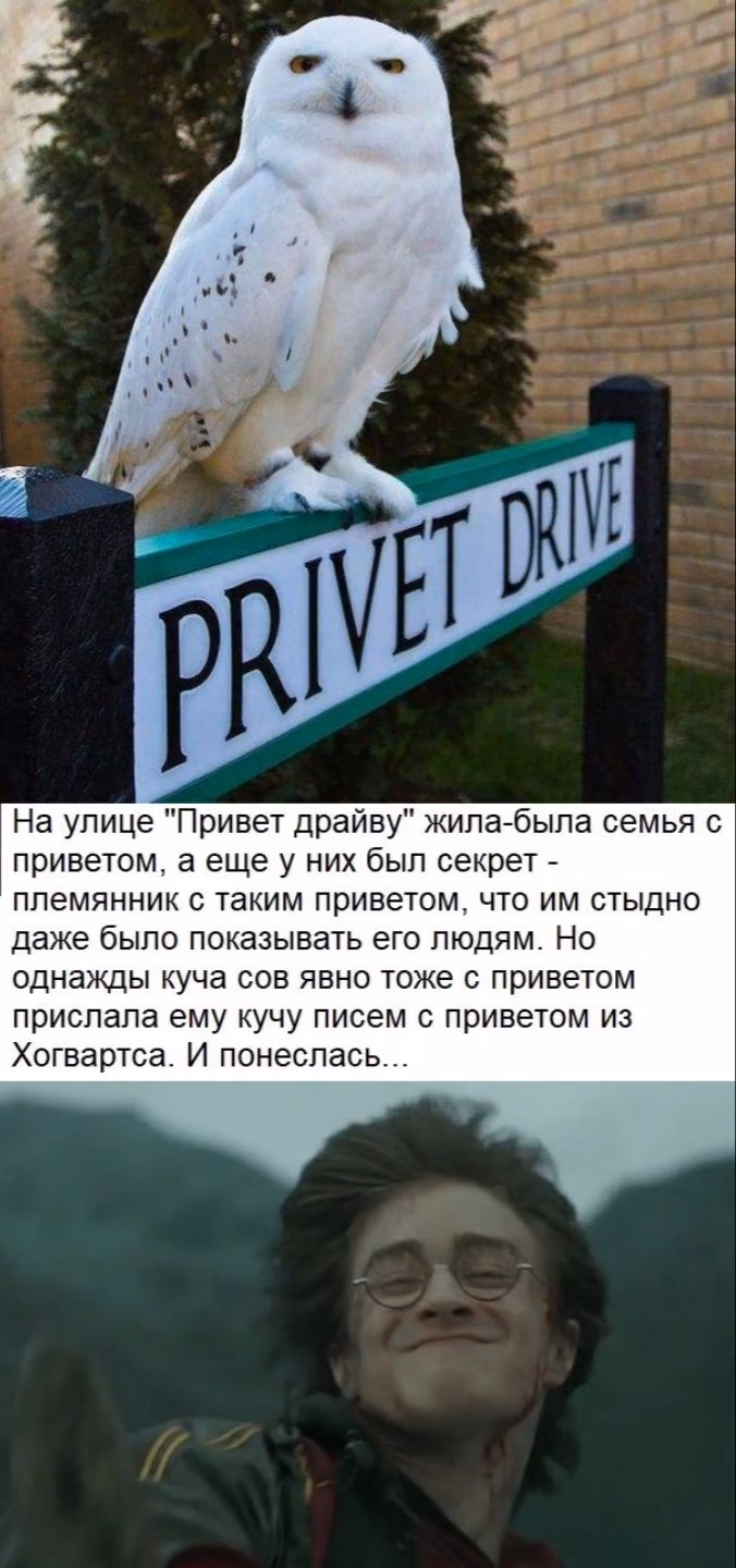 95063711cc21a95cef19fe6020cdc90c.avif