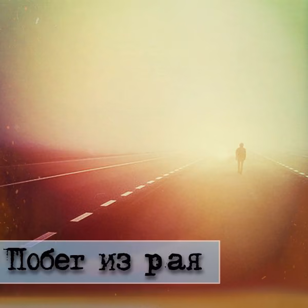 9509167b947622937c5170b2bb4b7b0d.avif