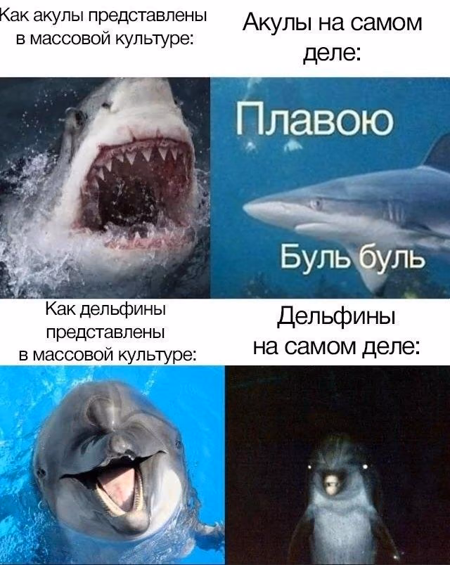 950aeea15f97d4f19b0e7b46a68ed5b9.jpg
