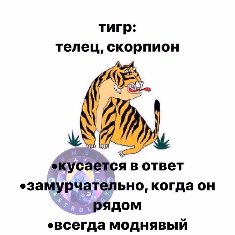 952545400cd6433f05d6a5fd53585a65.avif