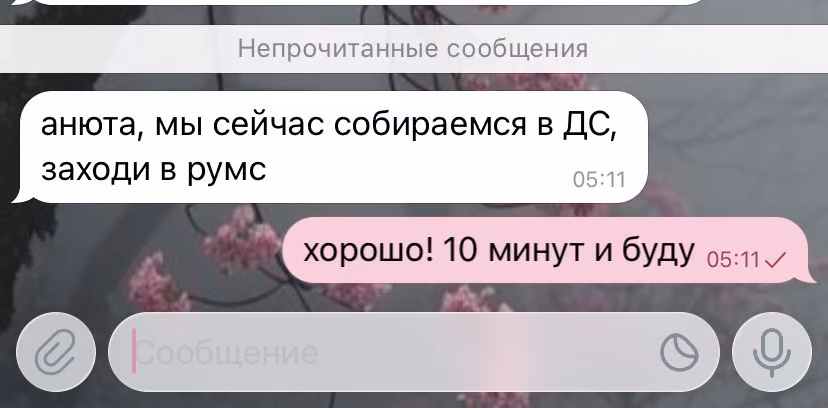 9535a931c5c69f0ca8dc4295342d877d.avif