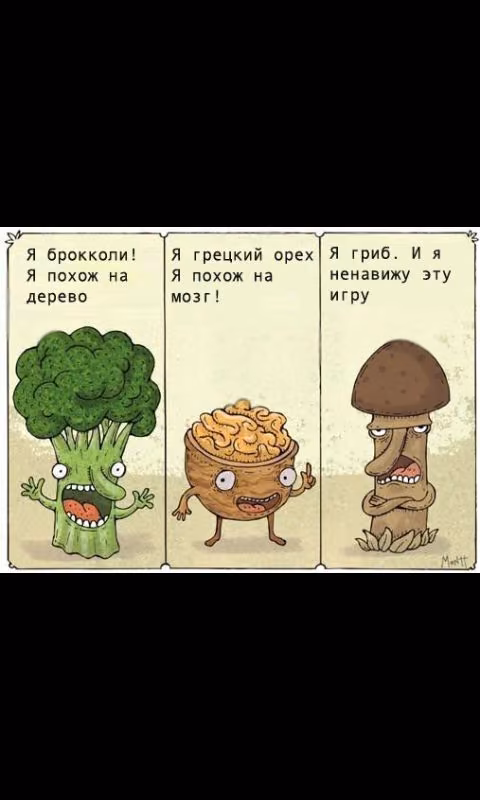 95467a1c71d22adbcc6316e5665d82b1.avif