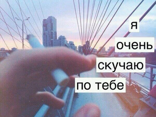 9546f9884bba58cdf08ee52029e740d2.avif